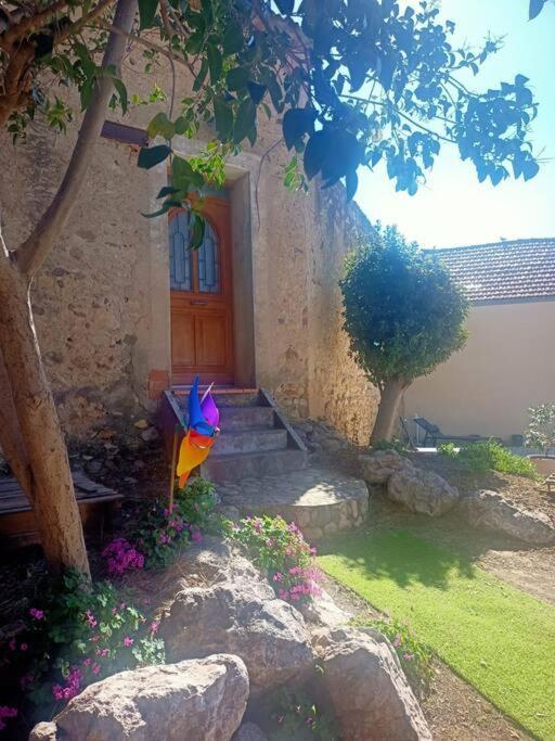 Le Clos Du Pin Thezan-les-Beziers المظهر الخارجي الصورة